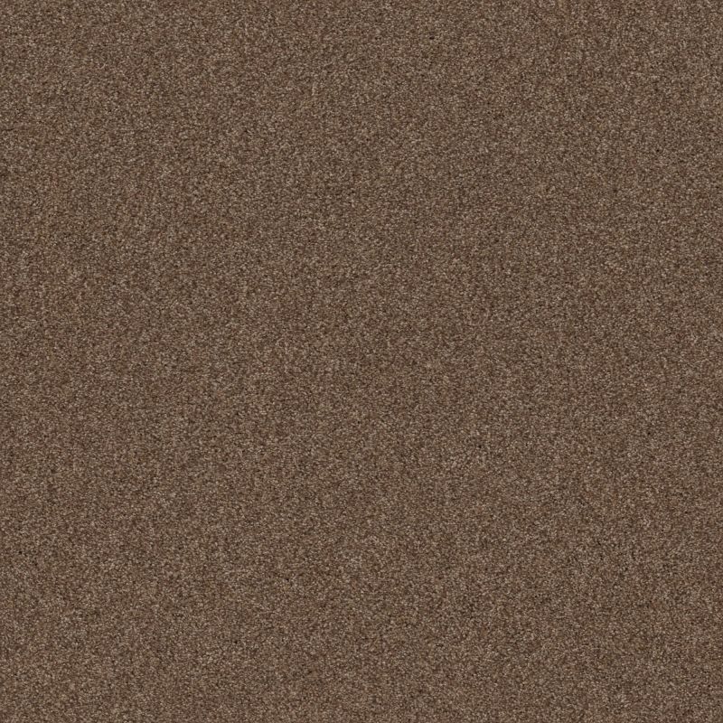 Shaw Floors Nfa Cozy Mist I Raw Wood