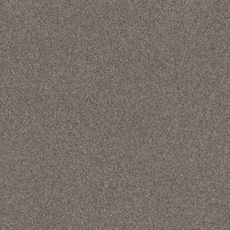 Shaw Floors Nfa Cozy Mist I Ridgeview