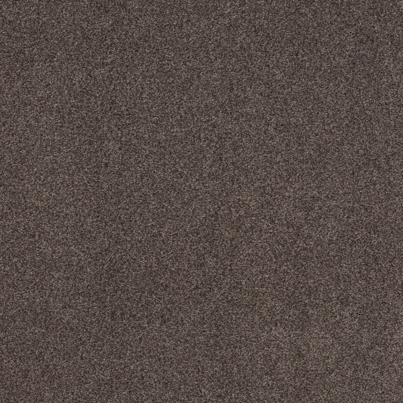 Shaw Floors Nfa Cozy Mist I Burma Brown