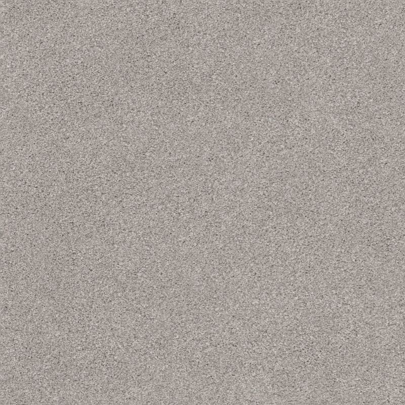 Shaw Floors Nfa Cozy Mist II Cold Winter