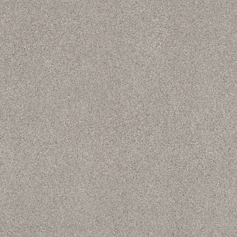 Shaw Floors Nfa Cozy Mist II Baltic Stone