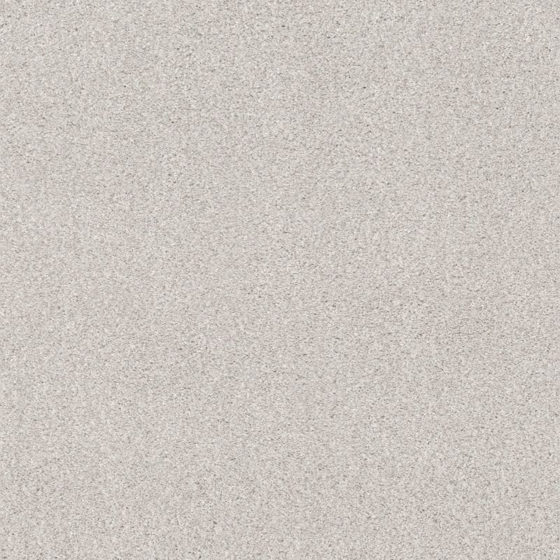 Shaw Floors Nfa Cozy Mist II Free Space