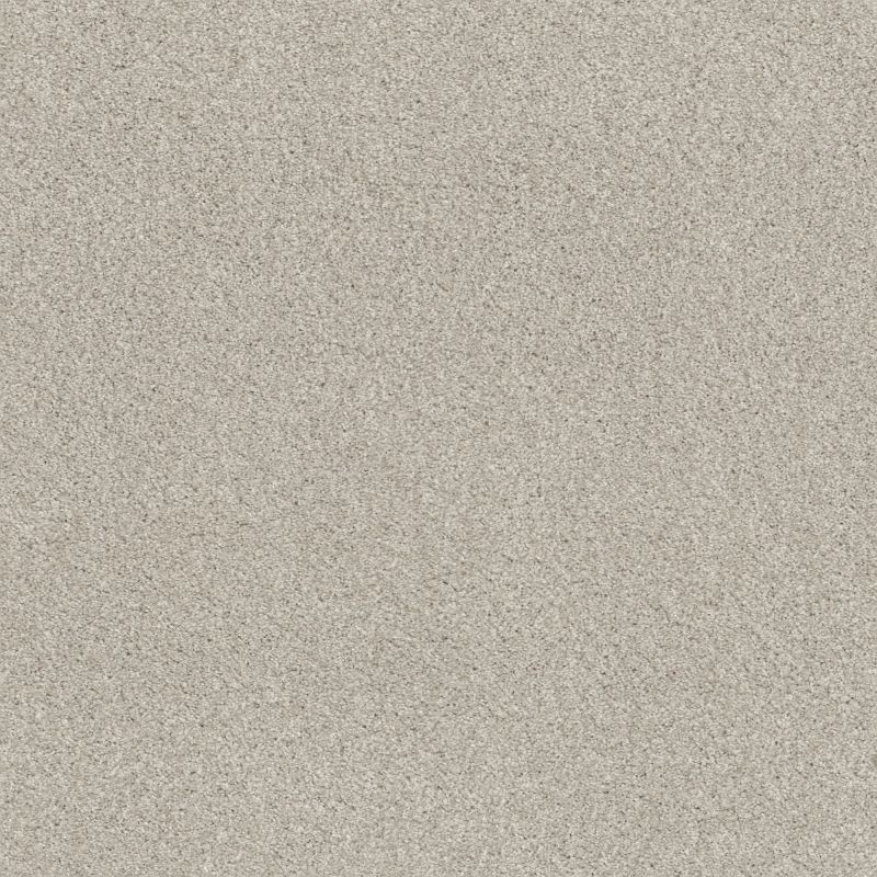 Shaw Floors Nfa Cozy Mist II Thoughtful