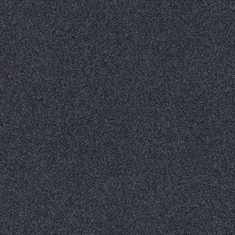 Shaw Floors Nfa Cozy Mist II Deep Sea