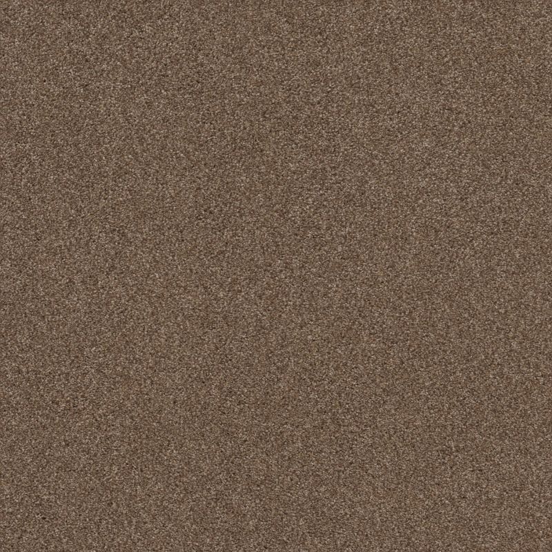 Shaw Floors Nfa Cozy Mist II Raw Wood