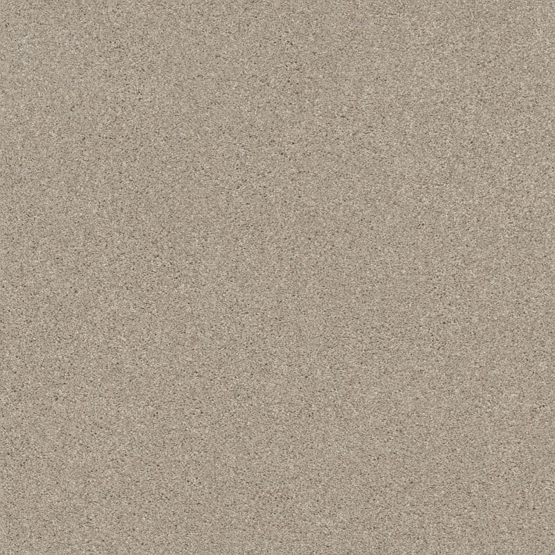 Shaw Floors Nfa Cozy Mist II Sandstone