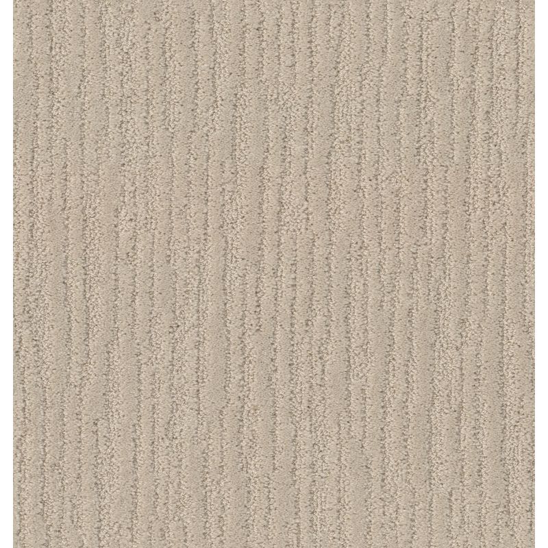 Shaw Floors Nfa Walk This Way Natural Beauty