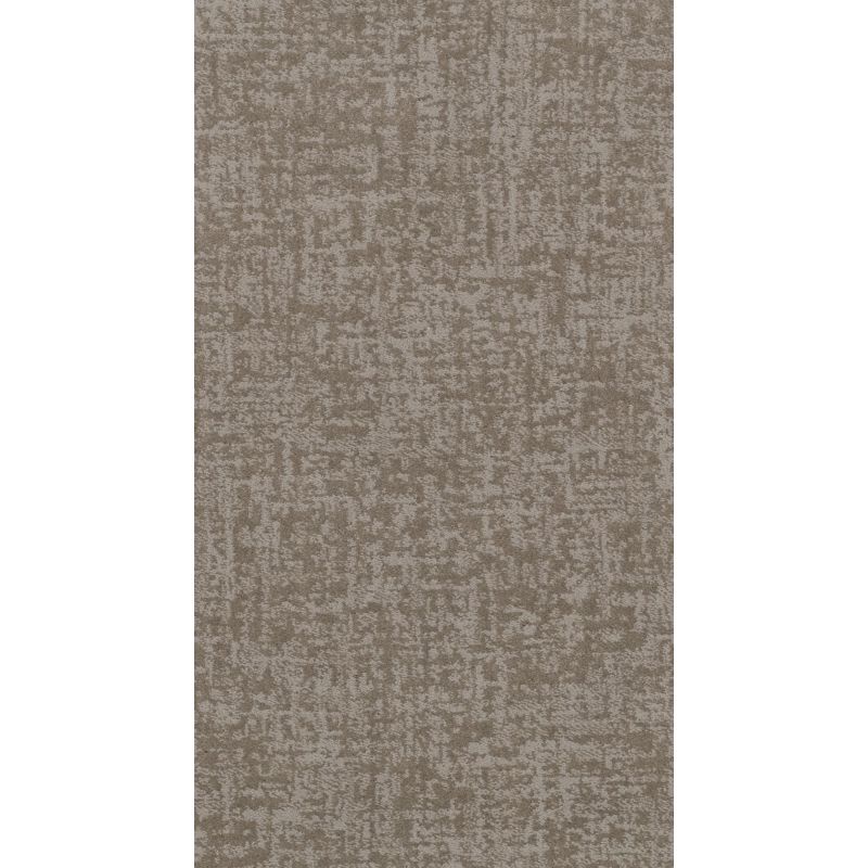 Shaw Floors Nfa Star Gaze Stucco