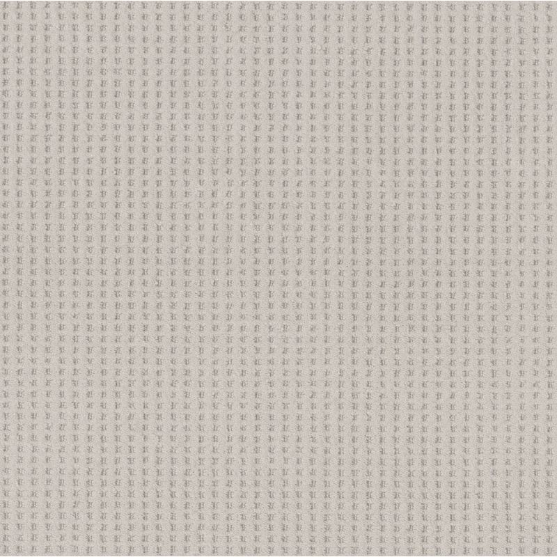 Shaw Floors Nfa Linvale Baltic Stone