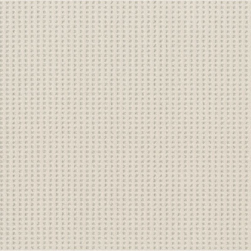 Shaw Floors Nfa Linvale Delicate Cream