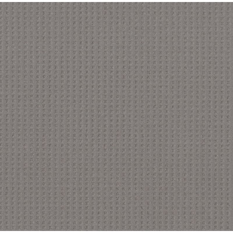 Shaw Floors Nfa Linvale Grounded Gray