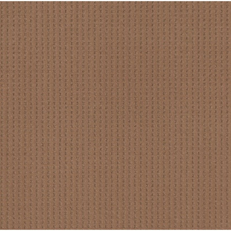 Shaw Floors Nfa Linvale Sunbaked