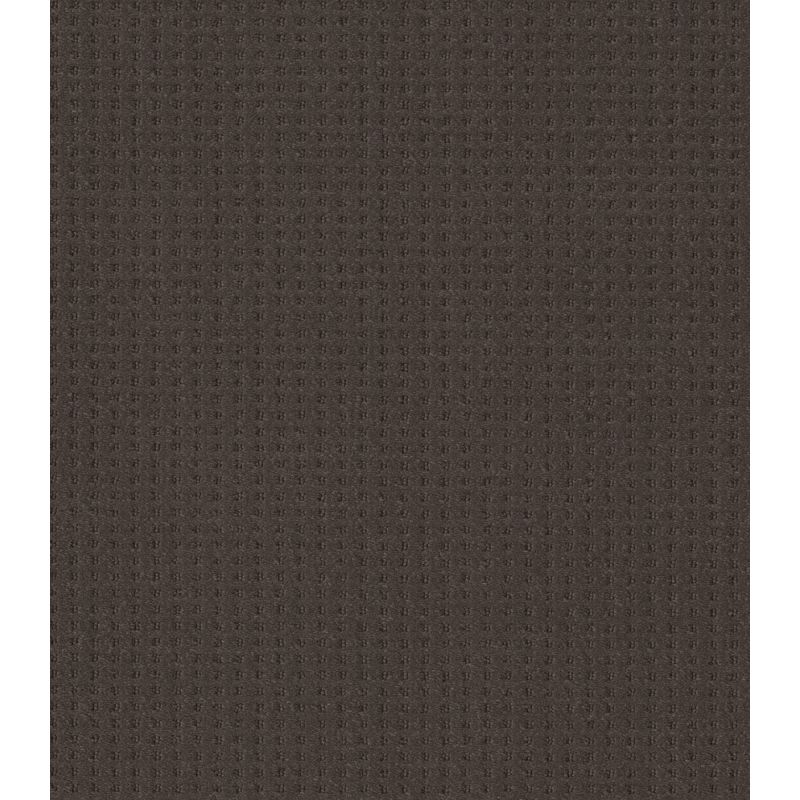 Shaw Floors Nfa Linvale Burma Brown