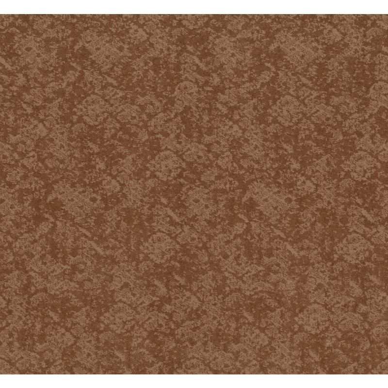 Shaw Floors Nfa Flowing Spirit Sunbaked