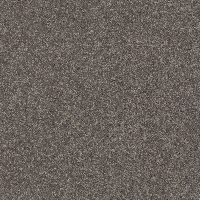 Shaw Floors Nfa Relentless II 15 Pewter