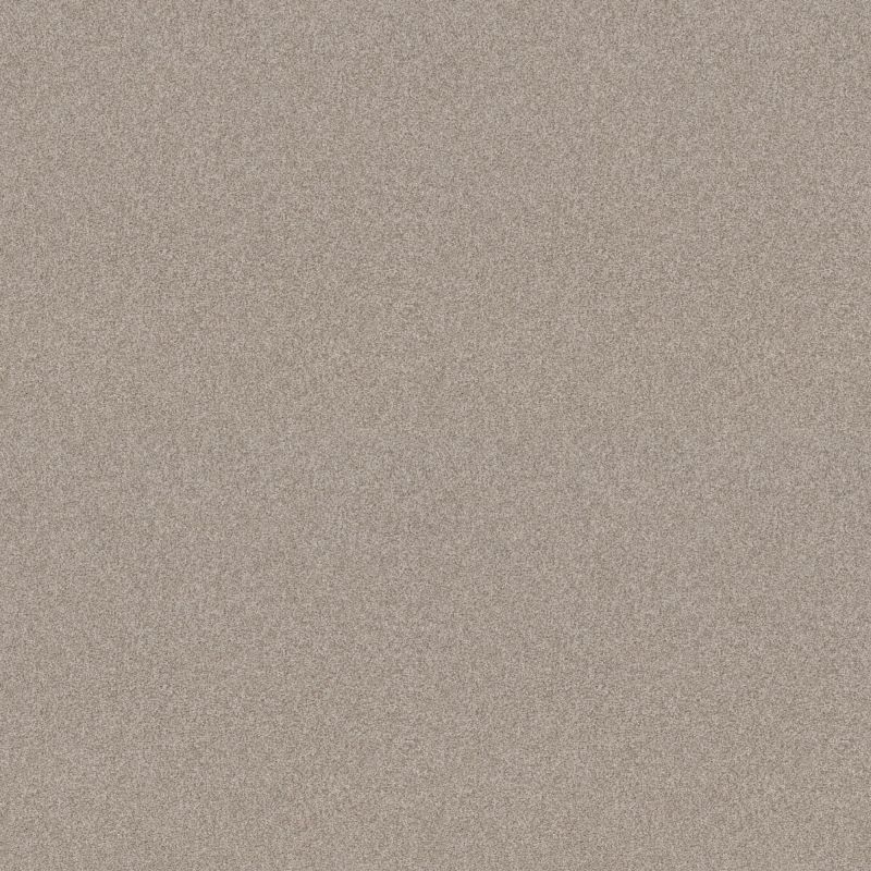 Shaw Floors Nfa Memorable I Fossil Path