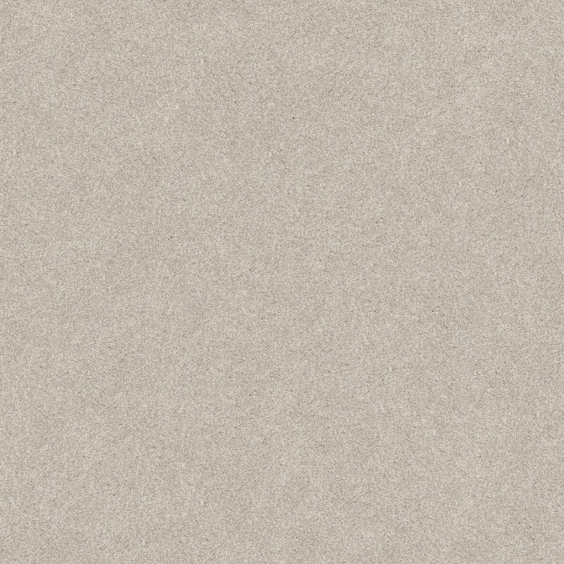 Shaw Floors Nfa Memorable III Gallery Opening