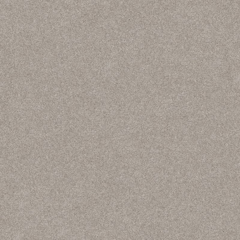 Shaw Floors Nfa Memorable III Baltic Stone