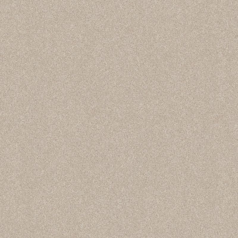 Shaw Floors Nfa Memorable III Champagne Toast