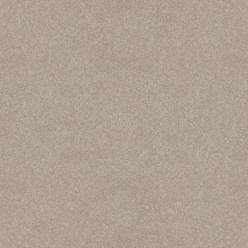 Shaw Floors Nfa Memorable III Sandstone