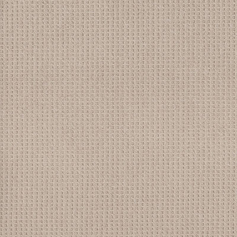 Shaw Floors Nfa Mindful Beauty Sun Kissed