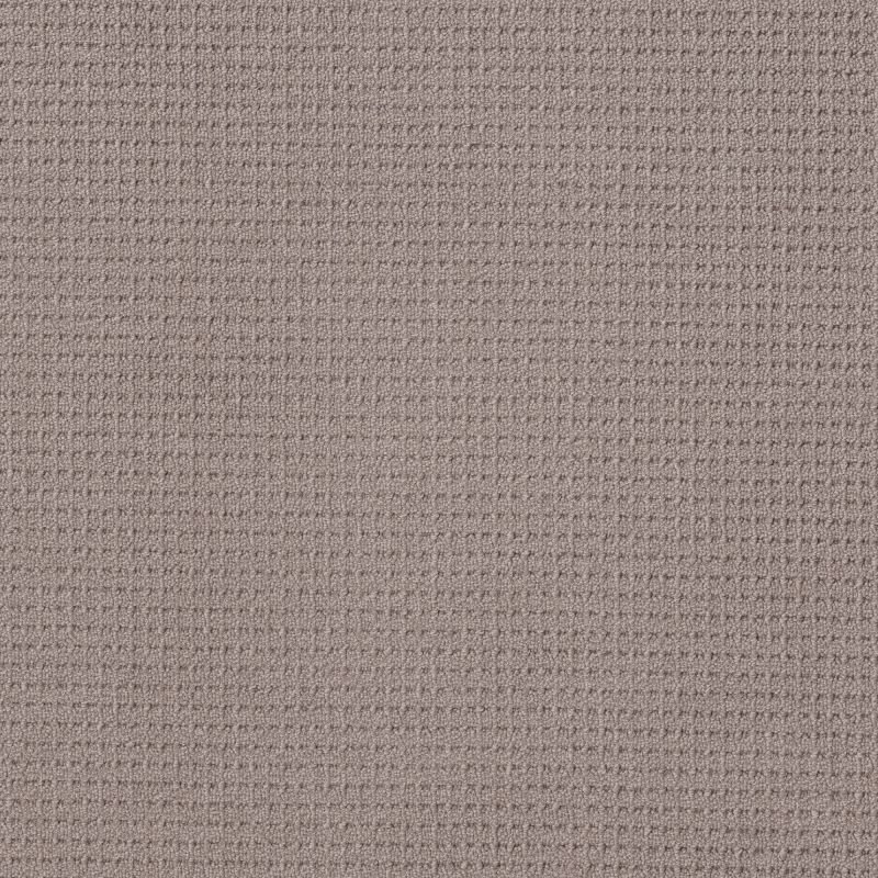 Shaw Floors Nfa Mindful Beauty River Run