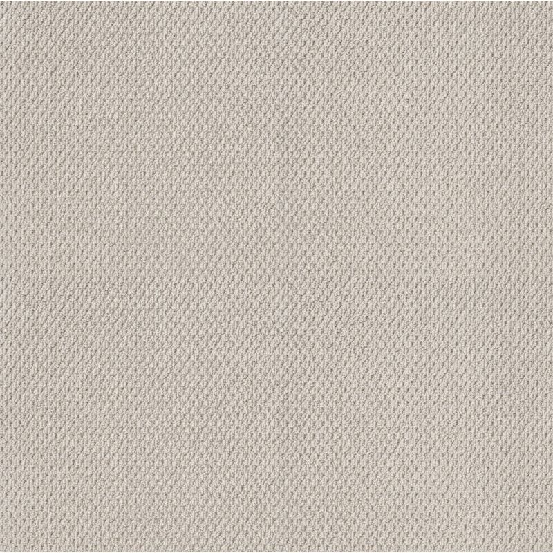 Shaw Floors Nfa Natural Choice Winters Dawn