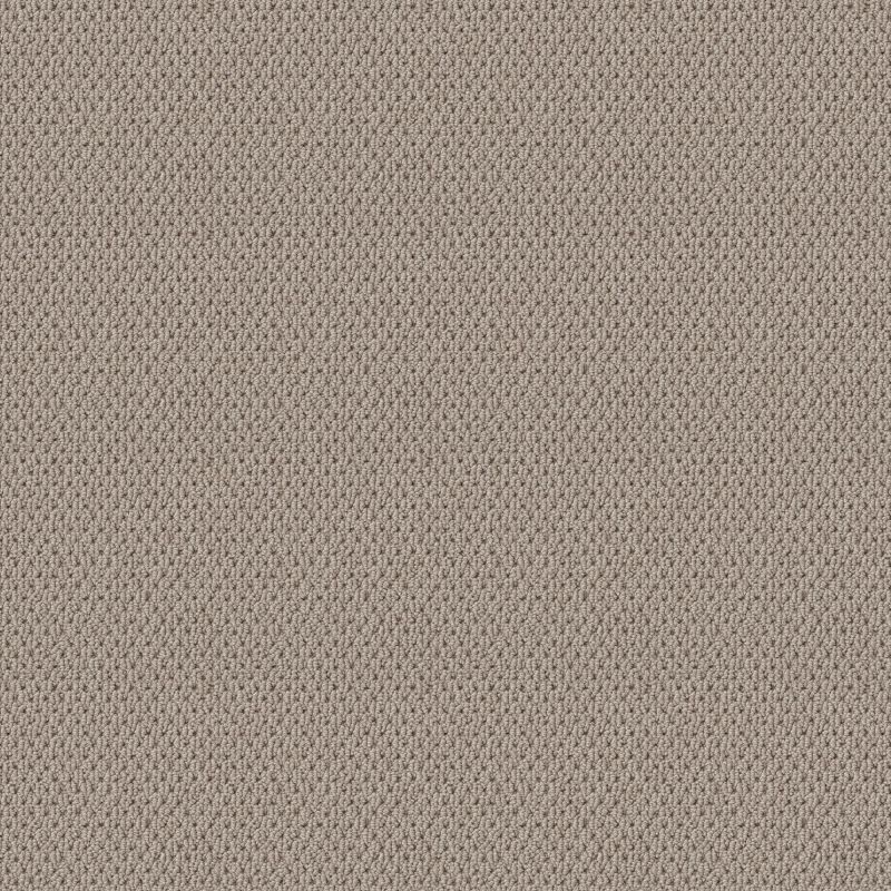 Shaw Floors Nfa Natural Choice Baltic Stone