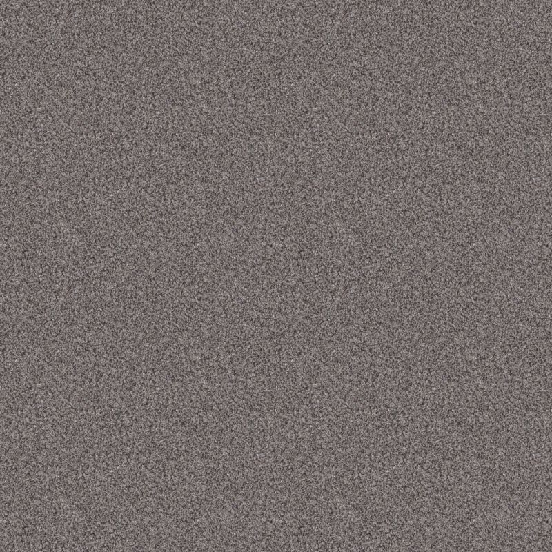 Shaw Floors Nfa Monstera Baltic Stone