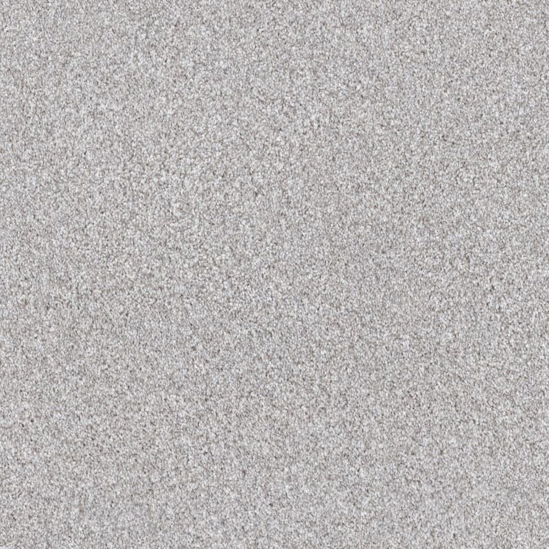 Shaw Floors Nfa Cavallini Silver Lining