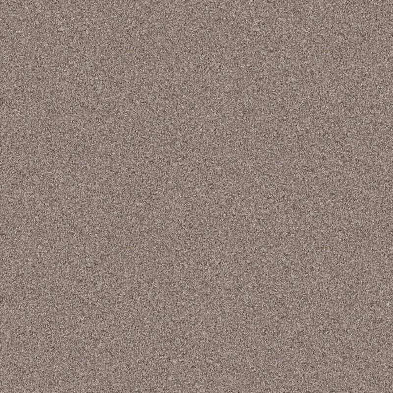 Shaw Floors Nfa Cavallini Chestnut