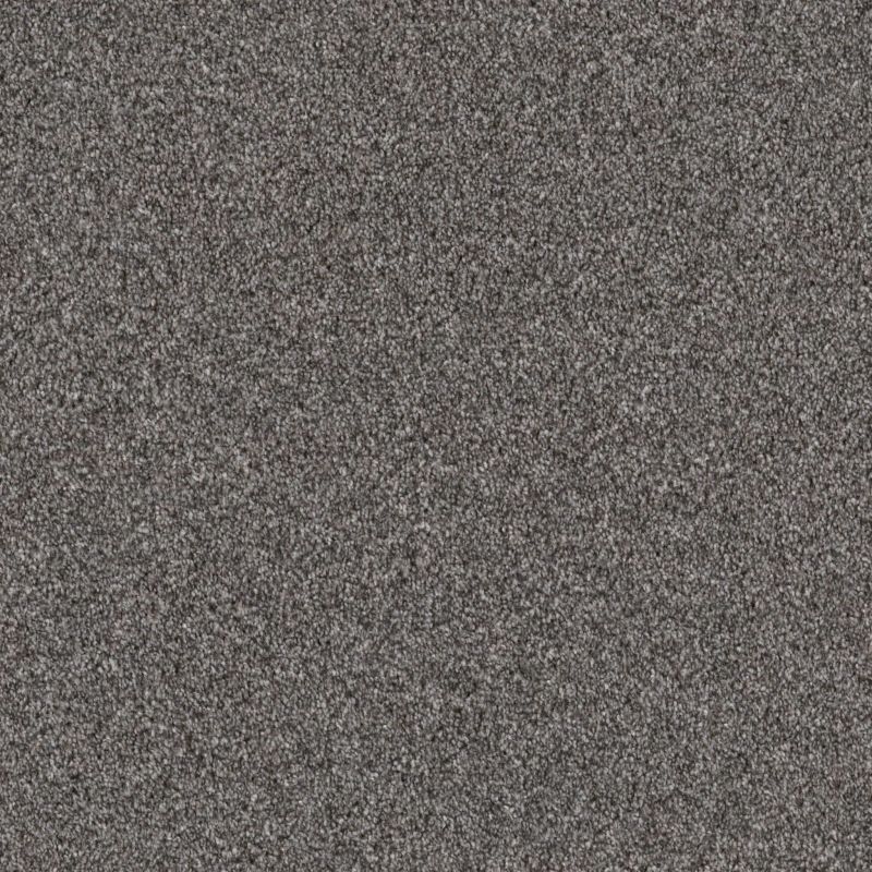 Shaw Floors Nfa Cavallini Sentimental