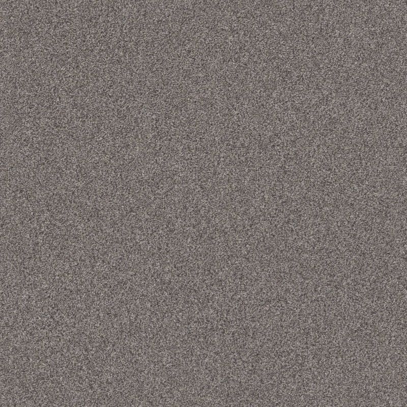 Shaw Floors Nfa Cavallini River Run