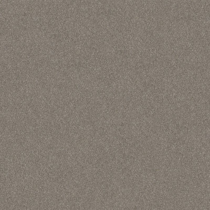 Shaw Floors Nfa Provisional II Abalone