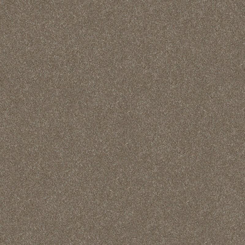 Shaw Floors Nfa Provisional II Sandbank