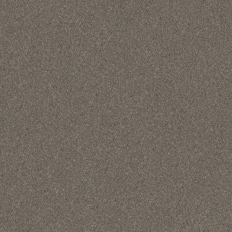 Shaw Floors Nfa Provisional II Misty Mica