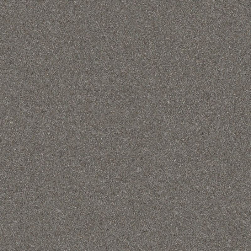 Shaw Floors Nfa Provisional II Tundra