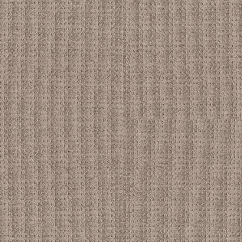 Shaw Floors Nfa Artful Array Pebble Path