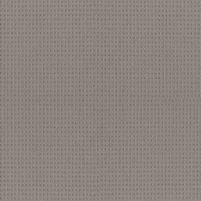 Shaw Floors Nfa Artful Array Industrial