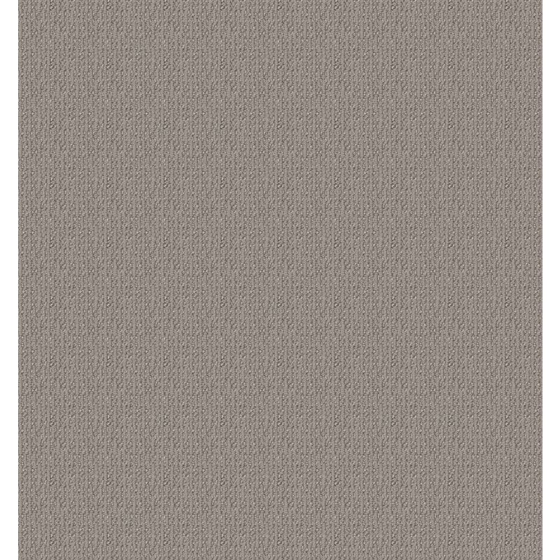 Shaw Floors Nfa Look This Way Asteroid