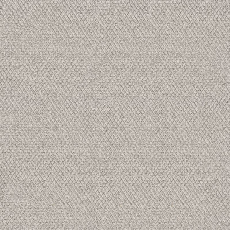 Shaw Floors Nfa Captious Minimal