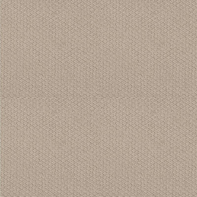 Shaw Floors Nfa Captious Natural Wood