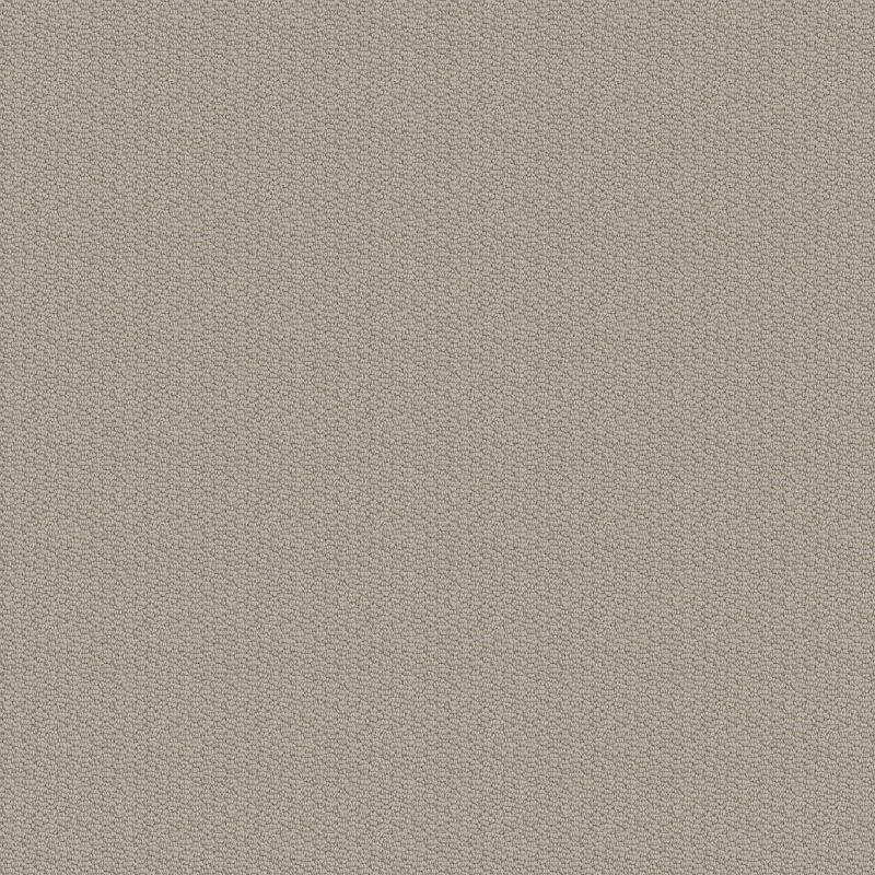 Shaw Floors Nfa Captious Sandstone