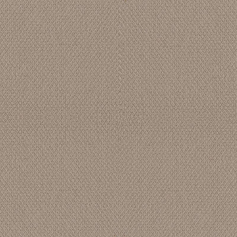 Shaw Floors Nfa Captious Pebble Path