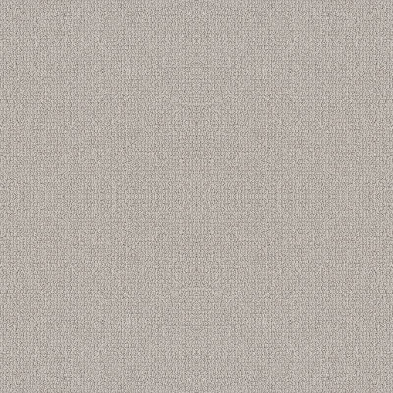 Shaw Floors Nfa Devious Look Aircraft