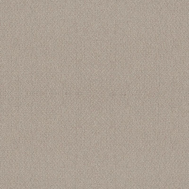 Shaw Floors Nfa Devious Look Birch