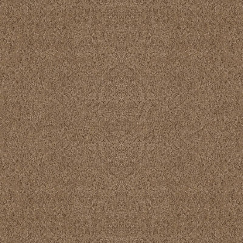 Shaw Floors Nfa Showy Raw Wood