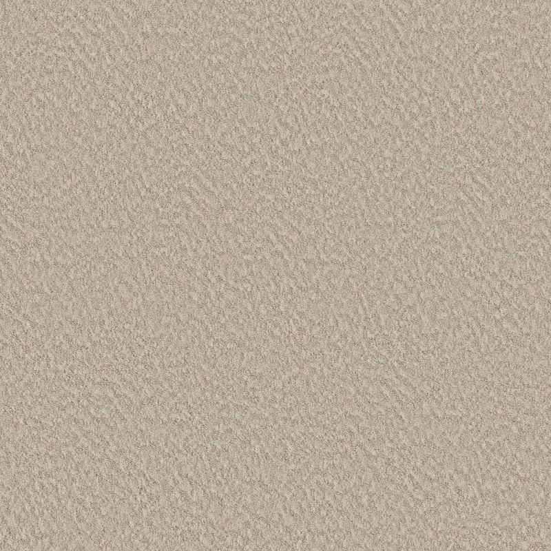 Shaw Floors Nfa Showy Sandstone
