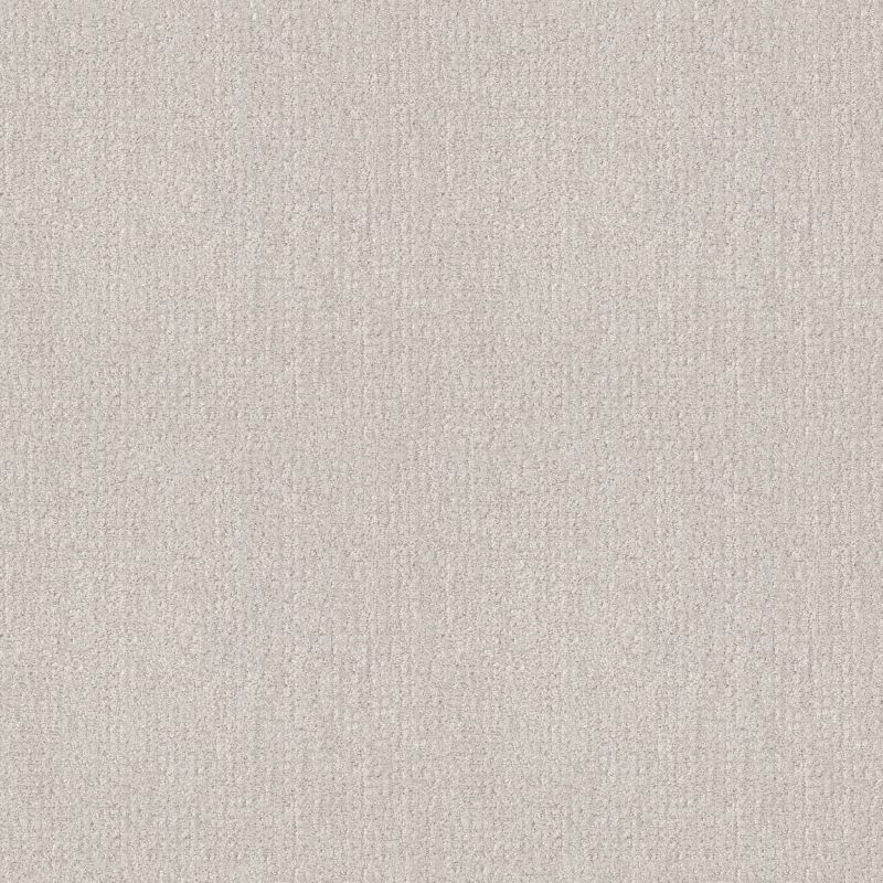 Shaw Floors Nfa Rare Find Winters Dawn