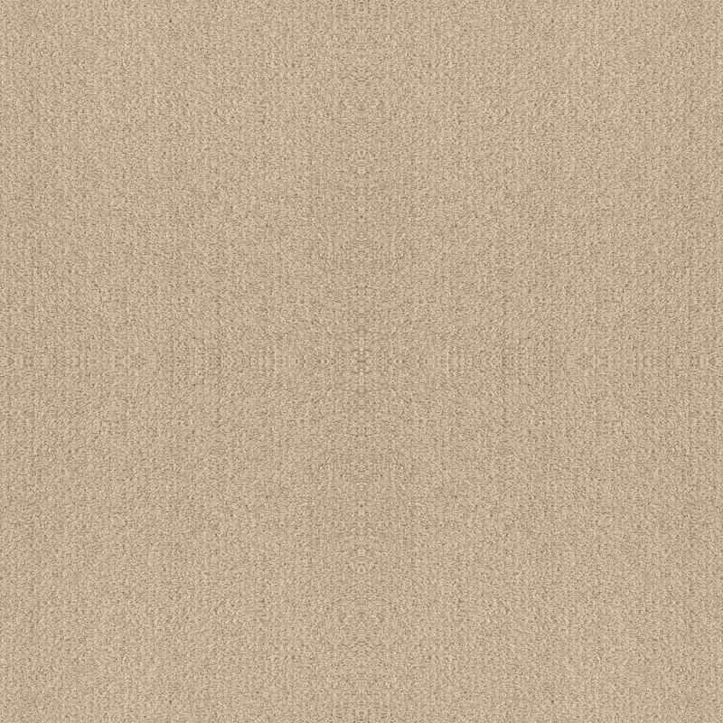 Shaw Floors Nfa Rare Find Sun Kissed